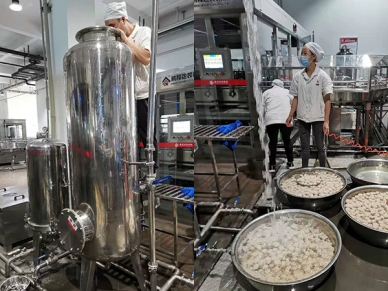 传统棉球式过滤器